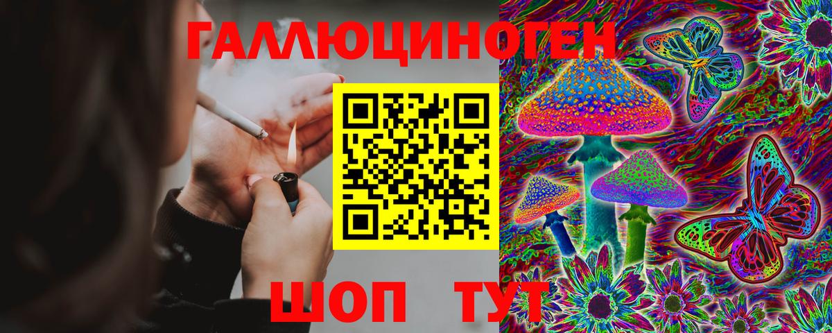Псилоцибиновые грибы Psilocybe  Псилоцибиновые грибы мухоморы  Вход с VPN  Лесозаводск 